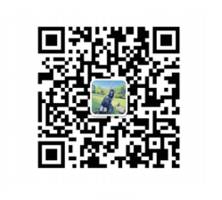 wechat